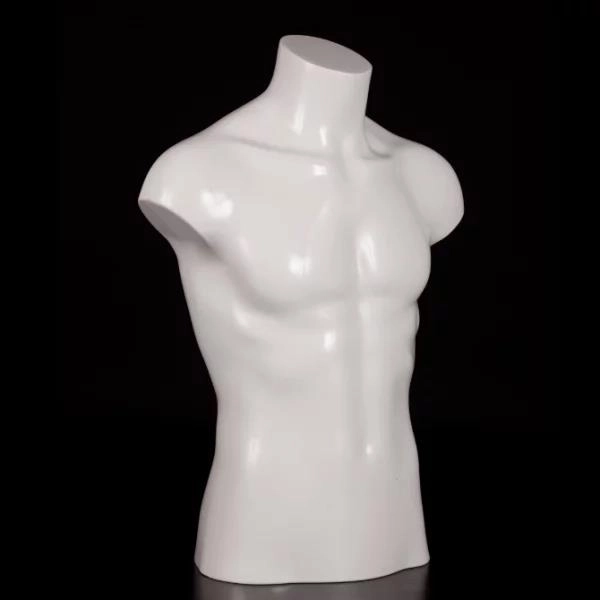 男性ハーフモデル